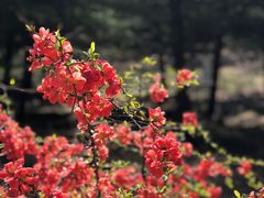 -大兴滨河森林公园