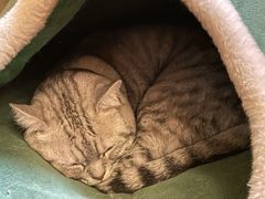 -H立方实景剧情密室(天河旗舰店)