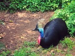 -昆明动物园