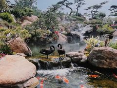 -罗红摄影艺术馆