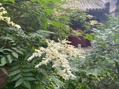 -潭柘寺景区