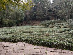 -武夷山风景名胜区-虎啸岩