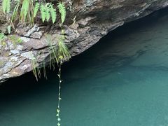 -石台牯牛降景区