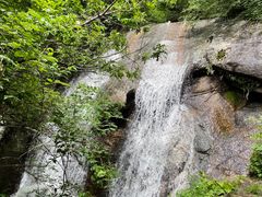 -王顺山国家森林公园