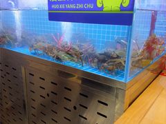 -徐记小怪兽肉蟹煲店(哈西万达金街店)