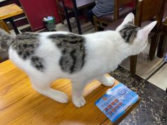 -金太粽(上海弄堂第一粽店)