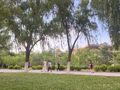 -莲花池公园