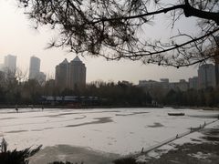 -团结湖公园
