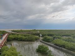 -北海金海湾红树林生态旅游区