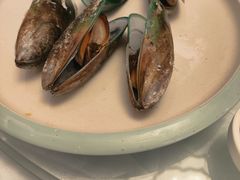 -中山市绿华园食府