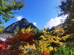 -少华山国家森林公园
