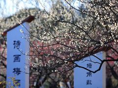 -无锡梅园公园