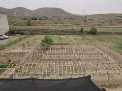 -西固紫雲阁山庄