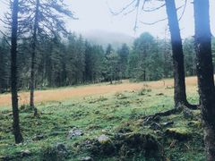 -硗碛藏寨·神木垒景区