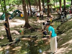 -白水寺森林公园