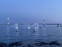 -星海广场