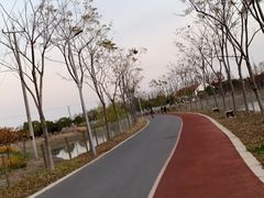 -上海长兴岛郊野公园