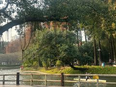 -晓港公园