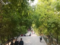 -富乐山