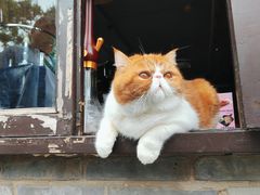 -南锣鼓巷