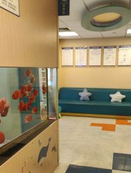 -杭州贝瑞斯美华妇儿医院·早孕·产检·儿科