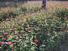 -老南昌粉面馆(绳金塔店)