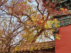 -沈阳市东陵公园