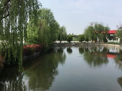 -平望服务区·停车场