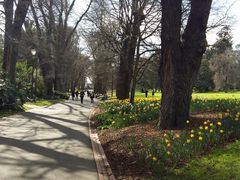 -墨尔本皇家植物园