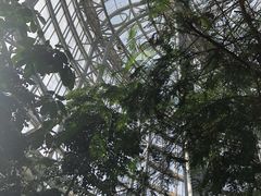 -郑州植物园