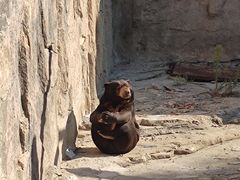 -大连森林动物园