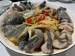 -煲来饱去冷水鱼