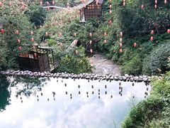 -张家界天门山国家森林公园