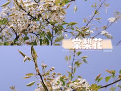 -桤木河湿地公园