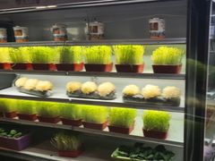 -番食园鲜食火锅(高新店)