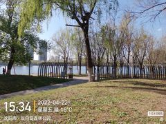 -长白岛森林公园