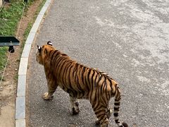 -大连森林动物园