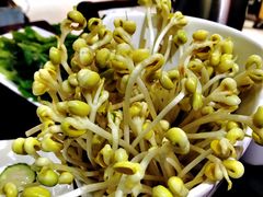 -蜀九香火锅(九眼桥店)