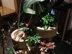-梅间堂茶馆(绿地缤纷城店)