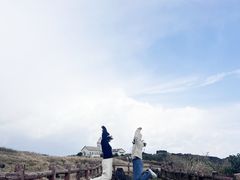 -涉地可支