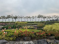 -东芭乐园
