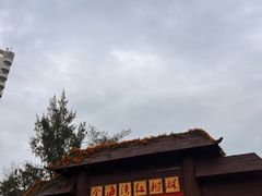 -北海金海湾红树林生态旅游区