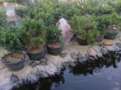 -八景休閒山莊  廣東十大名山莊