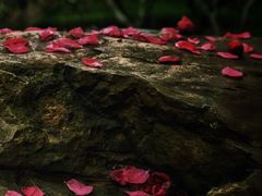 -桃花涧