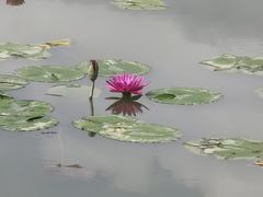 -蔡家宅