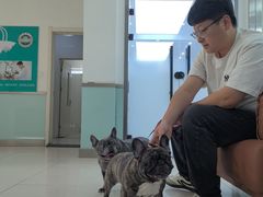 -派美特宠物医院·核磁CT·骨科肿瘤·疑难转诊(沈农禾丰店)