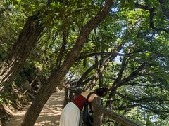 -栾川竹海野生动物园