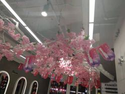 点击看大图 -梵茜儿·头道汤养生馆