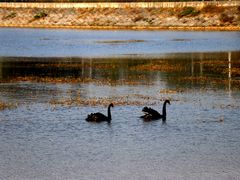 -云漫湖生态度假公园