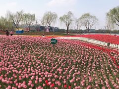 -廊坊文化艺术中心